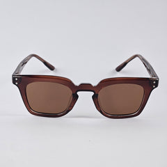 Square - D&G - Acetate - 7707 - Brown