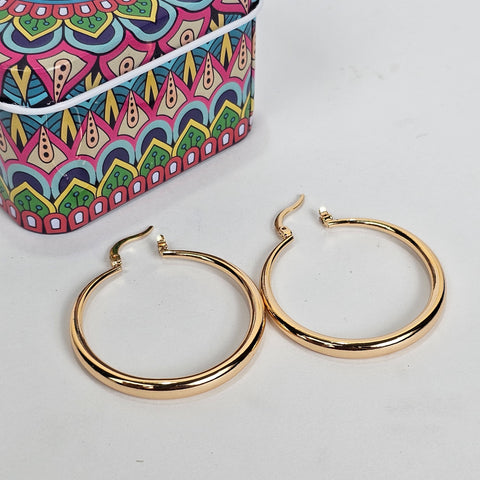 Gold Hoops Earrings - 200-010