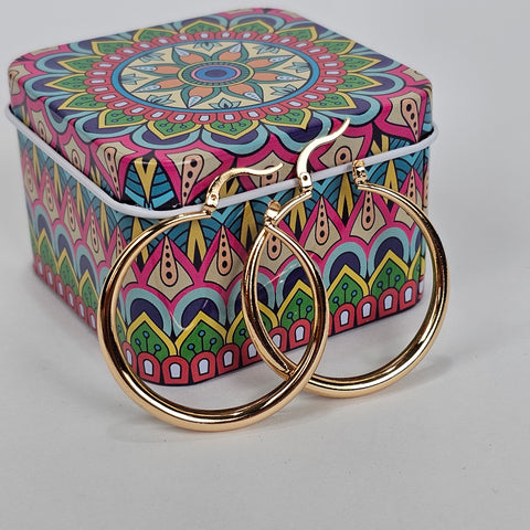 Gold Hoops Earrings - 200-010